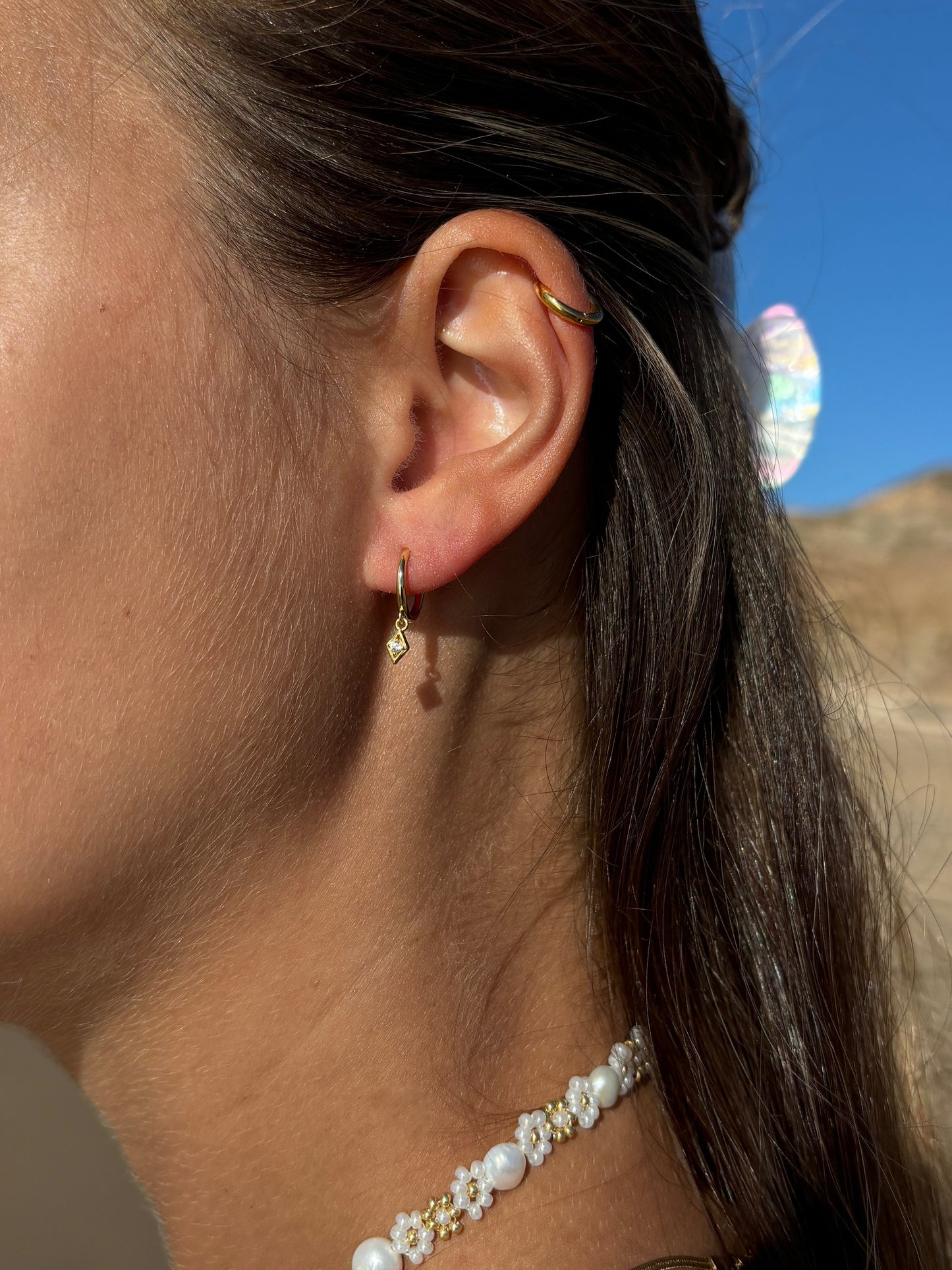 Shiny Hoops