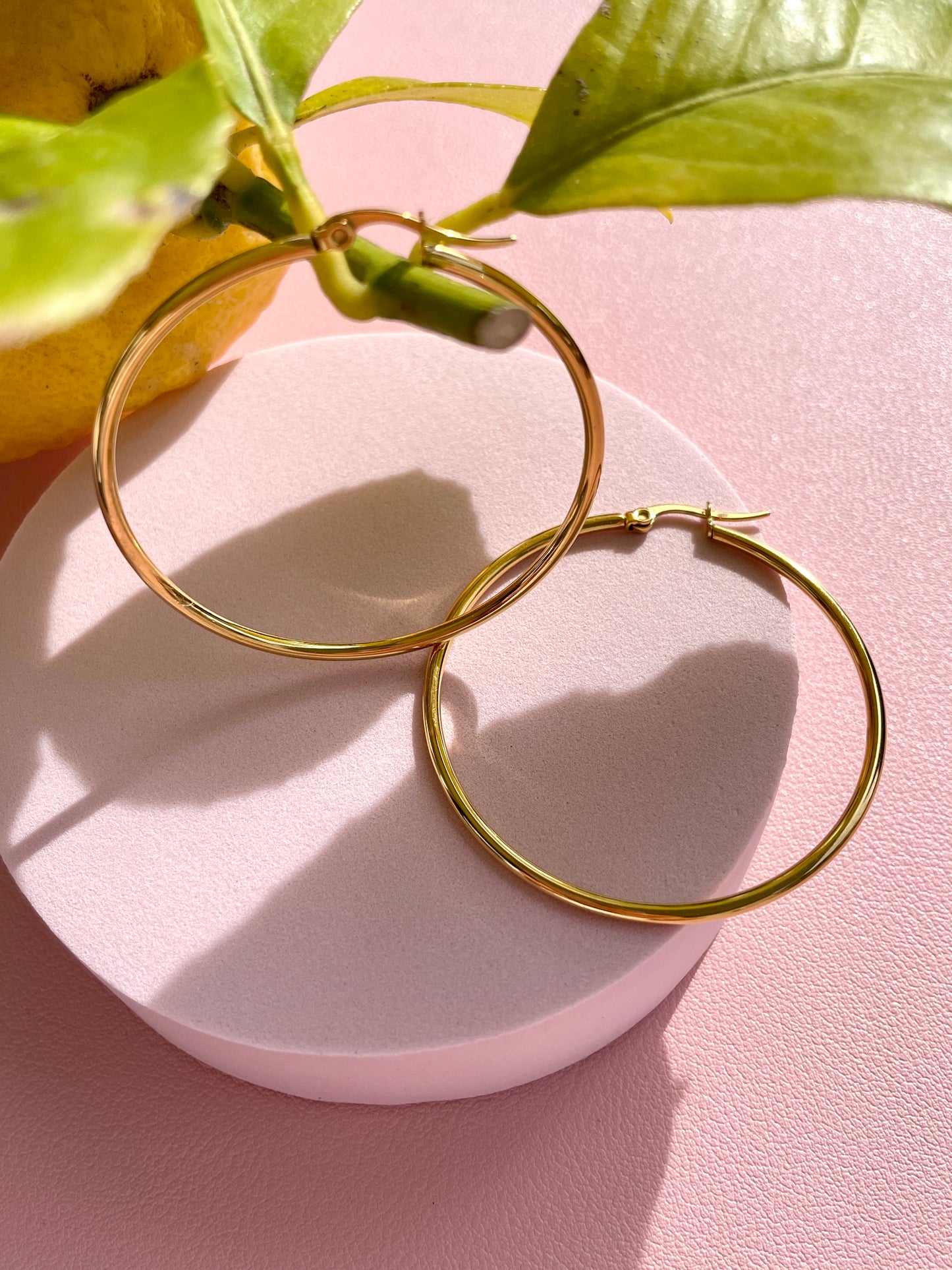 Circle of Hoop
