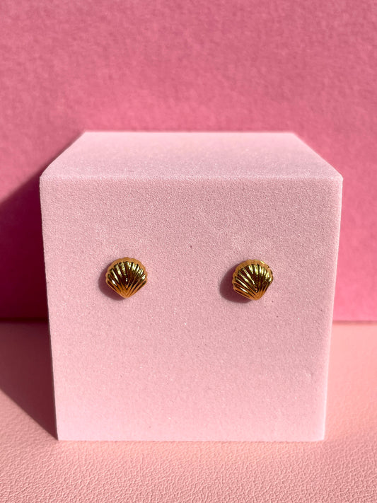 Shelly Studs