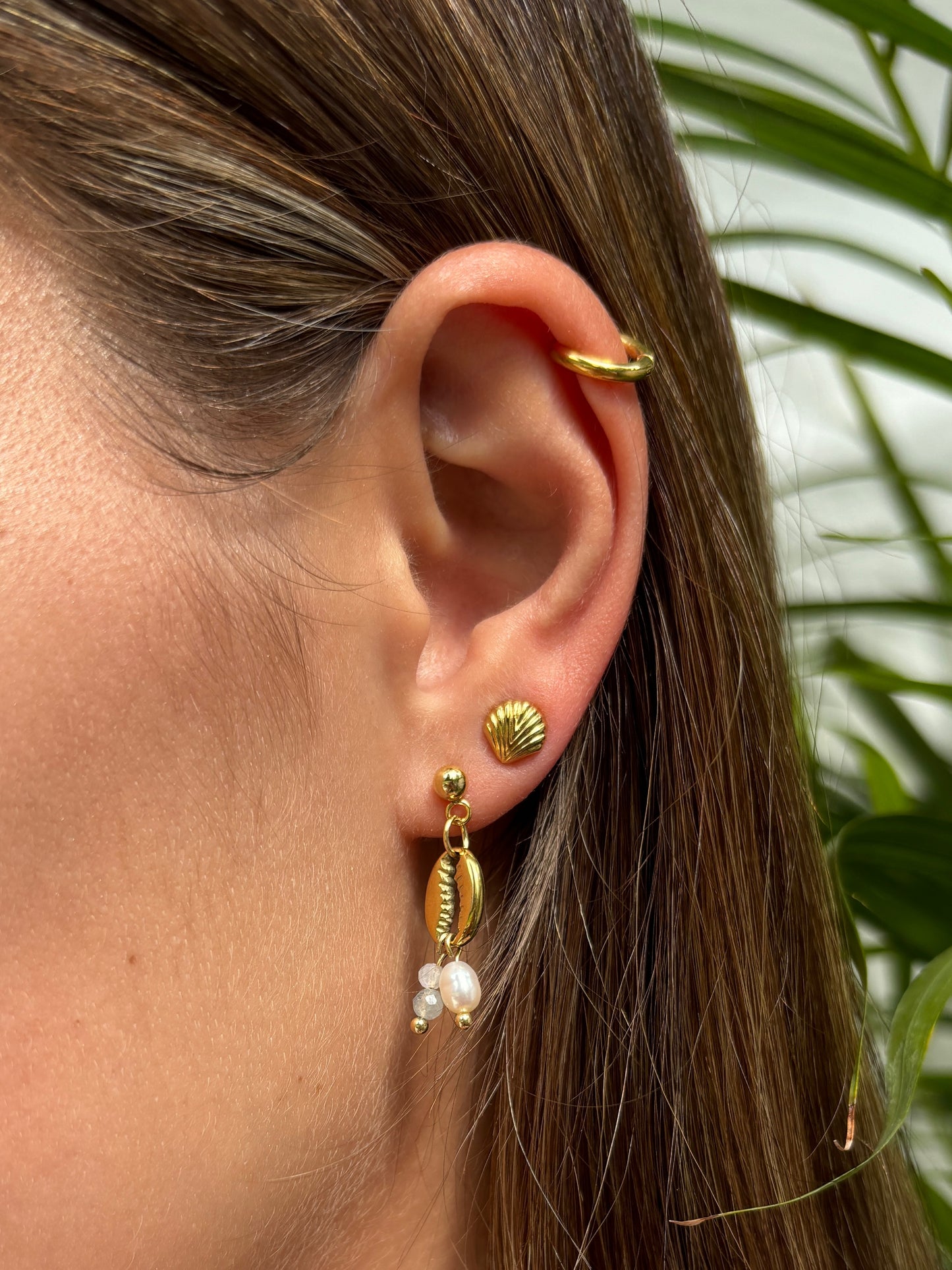 Ocean Studs
