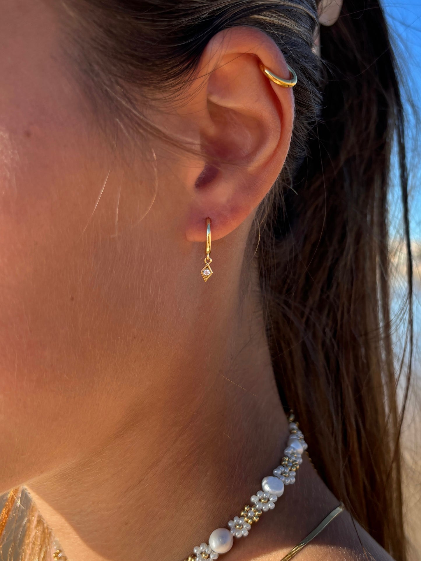Shiny Hoops