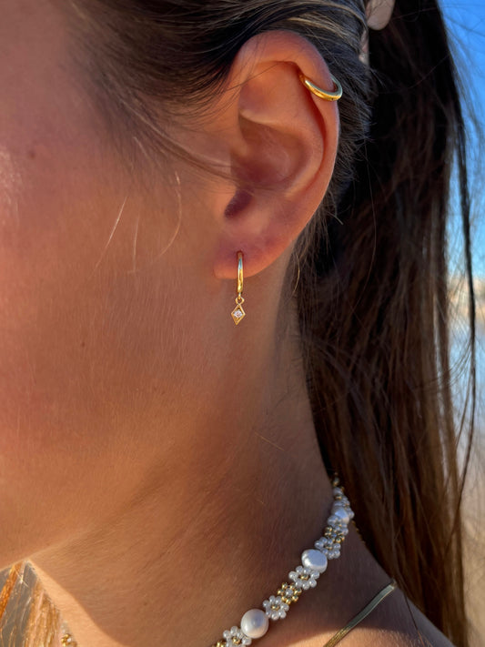 Shiny Hoops